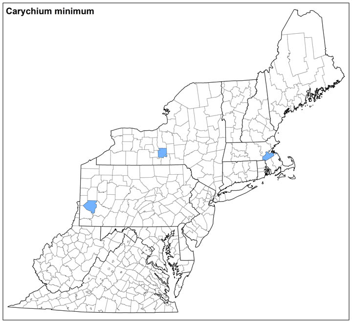 Carychium minimum Range Map